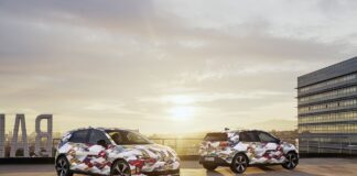 El automóvil busca ‘democratizar’ el eléctrico con coches por debajo de 25.000 euros para competir con China | Economía