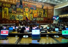 Asamblea Nacional ‘recicla’ artículos de leyes declaradas inconstitucionales en otras normativas, ¿qué dicen los legisladores? | Política | Noticias