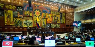 Asamblea Nacional ‘recicla’ artículos de leyes declaradas inconstitucionales en otras normativas, ¿qué dicen los legisladores? | Política | Noticias