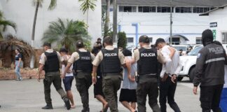 Más de $ 8.000 millones de afectación a economías criminales dejaron operativos de seguridad durante 2025, dice el Gobierno | Política | Noticias