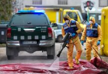 El Ministerio de Agricultura crea un comité científico del brote de peste porcina africana | Economía