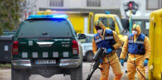 El Ministerio de Agricultura crea un comité científico del brote de peste porcina africana | Economía