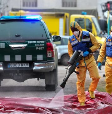 El Ministerio de Agricultura crea un comité científico del brote de peste porcina africana | Economía