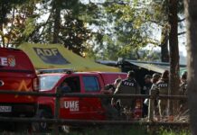 En la zona cero de la peste porcina en Collserola: desinfecciones masivas y batidas contra los jabalíes | Noticias de Cataluña
