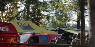 En la zona cero de la peste porcina en Collserola: desinfecciones masivas y batidas contra los jabalíes | Noticias de Cataluña