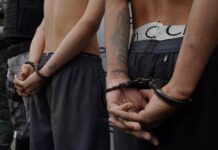 Oficialismo propone imprescriptibilidad de algunos delitos: ¿cuáles prescriben y cuáles no lo hacen en Ecuador? | Política | Noticias