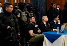 Daniel Salcedo, de procesado por actos de corrupción en la salud y la justicia a ‘testigo clave’ de casos como Magnicidio FV, Vidrio Libre y tres investigaciones previas | Política | Noticias