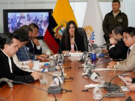 Informe del caso Progen se someterá a votación en la Comisión de Transparencia de la Asamblea esta noche | Política | Noticias