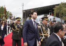 Niels Olsen propone proyecto de ley para reducir las horas de la ley seca en periodos electorales | Política | Noticias