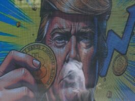 El gran anticlimax de un bitcoin demasiado popular: los nuevos inversores arruinan su año dorado | Criptoactivos