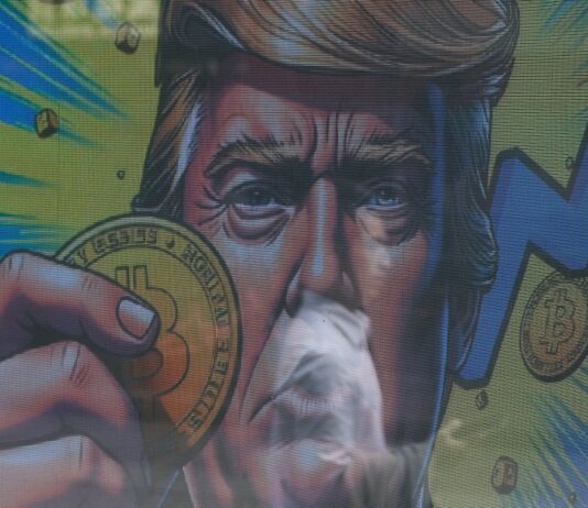 El gran anticlimax de un bitcoin demasiado popular: los nuevos inversores arruinan su año dorado | Criptoactivos