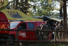 El Gobierno confirma que China seguirá importando porcino español pese al brote | Economía