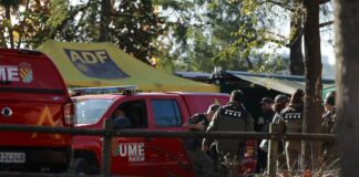 El Gobierno confirma que China seguirá importando porcino español pese al brote | Economía