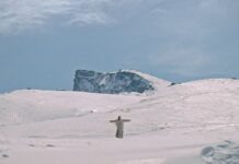 lo mejor del branded content