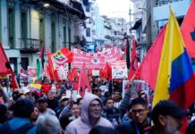 Organizaciones sociales e indígenas presentan ante la OIT informe con alertas sobre posibles vulneraciones a derechos colectivos | Política | Noticias