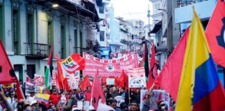 Organizaciones sociales e indígenas presentan ante la OIT informe con alertas sobre posibles vulneraciones a derechos colectivos | Política | Noticias