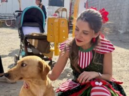 Asambleístas se pusieron sus gorritos navideños y repartieron regalos | Política | Noticias