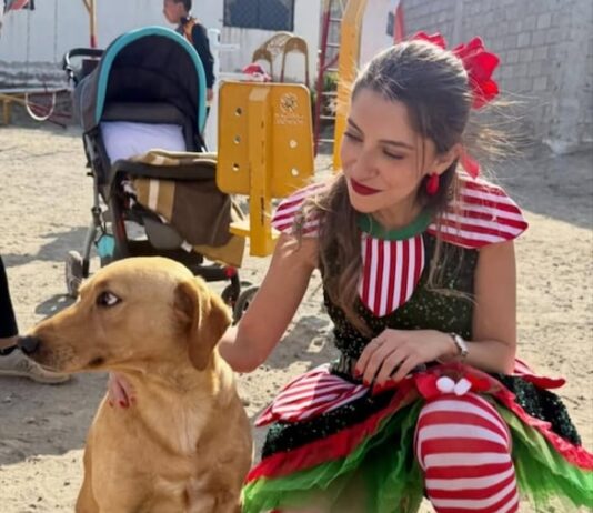 Asambleístas se pusieron sus gorritos navideños y repartieron regalos | Política | Noticias