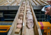 Un problema más de la energía nuclear: los precios del uranio se disparan | Negocios