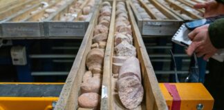 Un problema más de la energía nuclear: los precios del uranio se disparan | Negocios