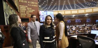 ‘La justicia debe administrarse sin presiones políticas ni intereses ilegítimos’, dice Alexandra Villacís, reemplazo temporal de Mario Godoy | Política | Noticias