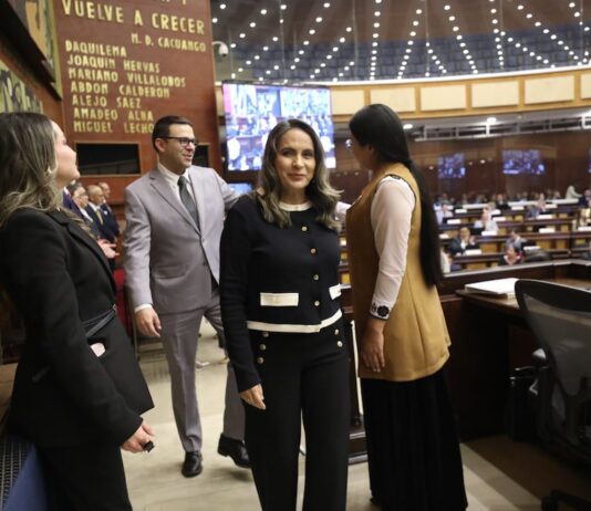 Vocal Alexandra Villacís reemplaza a Mario Godoy en la presidencia del Consejo de la Judicatura | Política | Noticias