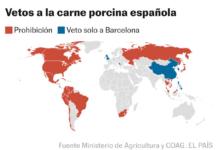 Mapa de los vetos por la peste porcina: ¿qué países restringen y cuáles prohíben del todo la importación de carne de cerdo española? | Economía