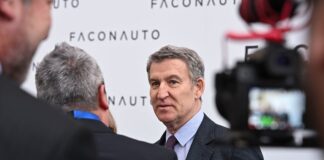 El PP y los concesionarios presionan al Gobierno para que apruebe ayudas al coche de combustión | Empresas