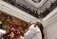 Tras su salida de la RC, Marcela Aguiñaga fue recibida entre aplausos y flores en la Prefectura del Guayas | Política | Noticias