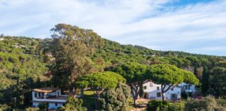 Las tres casas de la semana: masía histórica entre pinos por 10 millones (y 2 más por la casa de invitados) | Negocios