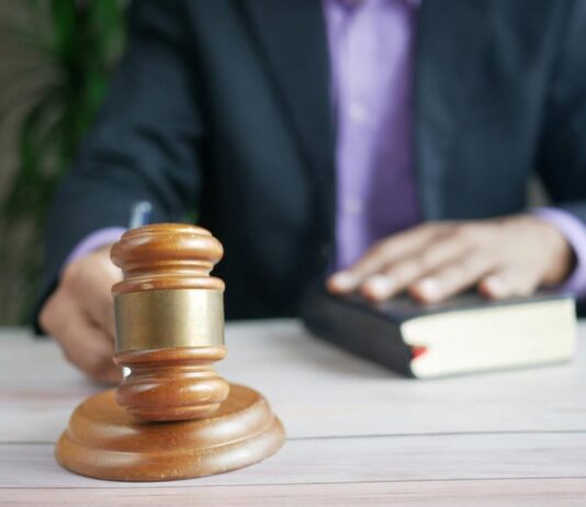 Publicado en el Registro Oficial los perfiles de los jueces constitucionales producto de la consulta popular de 2024 | Política | Noticias