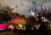 Acciona convierte el Huerto de Calixto y Melibea en jardín de luz