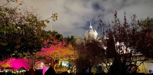 Acciona convierte el Huerto de Calixto y Melibea en jardín de luz