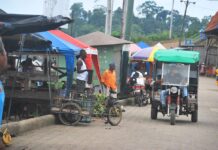 En el 2026 habrá dos procesos electorales en jurisdicciones de reciente creación | Política | Noticias