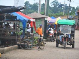 En el 2026 habrá dos procesos electorales en jurisdicciones de reciente creación | Política | Noticias