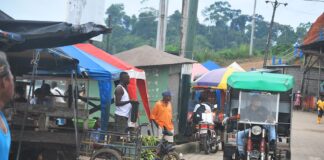 En el 2026 habrá dos procesos electorales en jurisdicciones de reciente creación | Política | Noticias