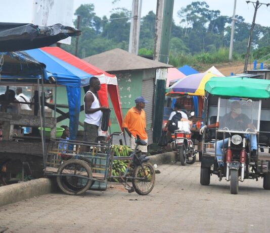 En el 2026 habrá dos procesos electorales en jurisdicciones de reciente creación | Política | Noticias