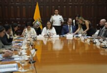 Atención especializada, información y reforma legal son las acciones a las que apunta el comité para erradicar el reclutamiento de niños y jóvenes por parte de las bandas criminales