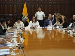 Atención especializada, información y reforma legal son las acciones a las que apunta el comité para erradicar el reclutamiento de niños y jóvenes por parte de las bandas criminales