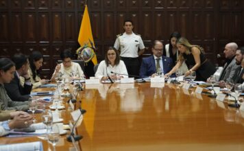 Atención especializada, información y reforma legal son las acciones a las que apunta el comité para erradicar el reclutamiento de niños y jóvenes por parte de las bandas criminales