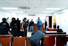 Consejo de la Judicatura suspende por 30 días a la jueza Daniela Ayala, la sanción evita que retome la conducción del caso Magnicidio FV | Política | Noticias