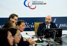 Consejo de Participación Ciudadana, el organismo que favoreció la llegada de Mario Godoy y Wilman Terán a controlar el sistema judicial