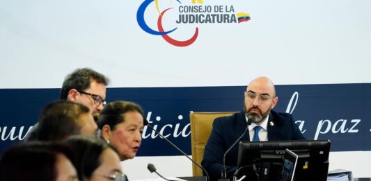 Consejo de Participación Ciudadana, el organismo que favoreció la llegada de Mario Godoy y Wilman Terán a controlar el sistema judicial