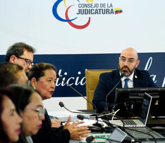 Consejo de Participación Ciudadana, el organismo que favoreció la llegada de Mario Godoy y Wilman Terán a controlar el sistema judicial