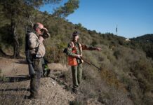 Los cazadores reclaman su papel ante la crisis de la peste porcina: “Más que una actividad de ocio, es una obligación” | Noticias de Cataluña