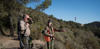 Los cazadores reclaman su papel ante la crisis de la peste porcina: “Más que una actividad de ocio, es una obligación” | Noticias de Cataluña