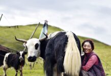 China impondrá aranceles adicionales del 55% al vacuno importado desde el 1 de enero | Economía