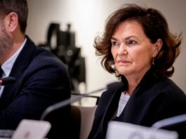 El Consejo de Estado cuestiona a la CNMC y complica la aprobación de la nueva retribución a las eléctricas | Economía