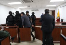 Daniela Ayala, jueza que podría retomar el caso Magnicidio FV, se mueve entre suspensiones, pedidos de declaratoria jurisdiccional previa y acciones de protección | Política | Noticias