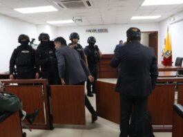 Daniela Ayala, jueza que podría retomar el caso Magnicidio FV, se mueve entre suspensiones, pedidos de declaratoria jurisdiccional previa y acciones de protección | Política | Noticias